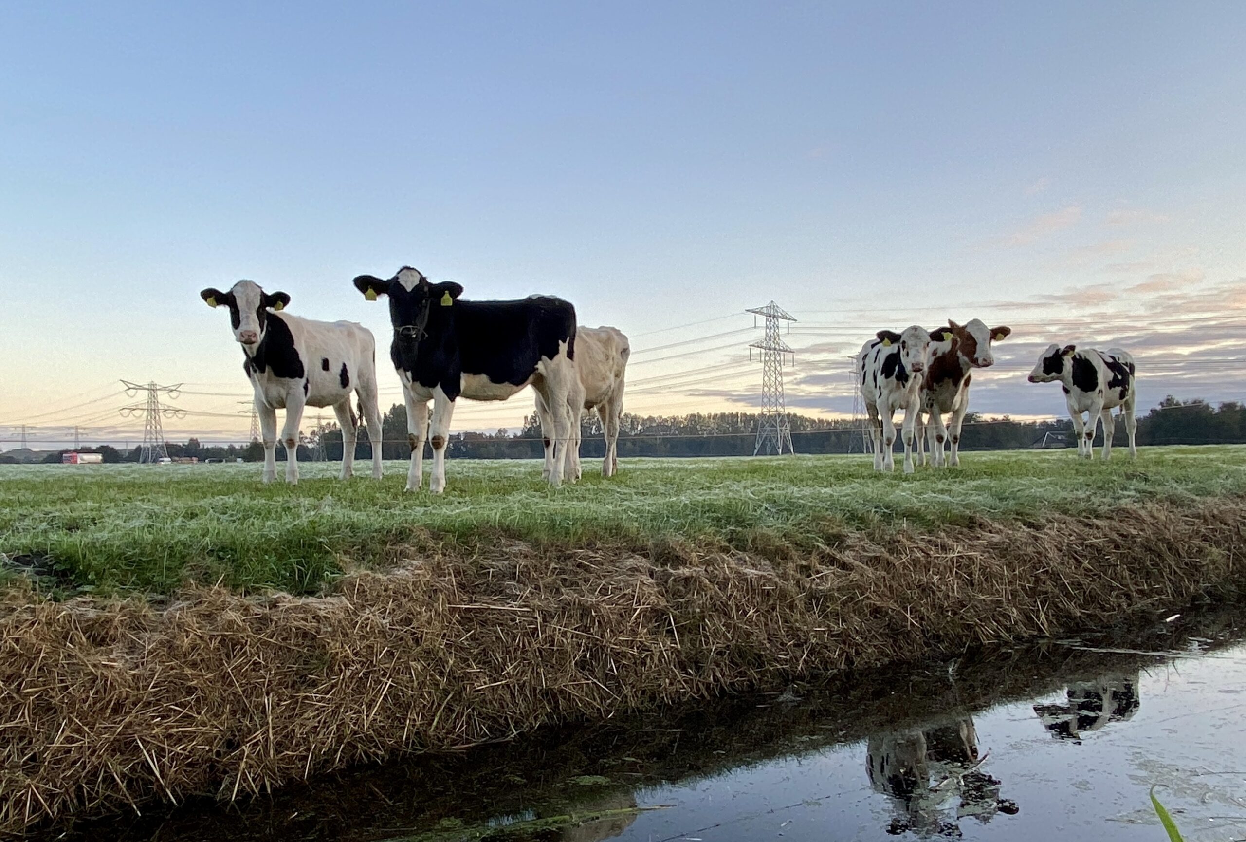 FrieslandCampina maakt samen met Future Fuels melkveehouders warm voor Neste MY Renewable Diesel