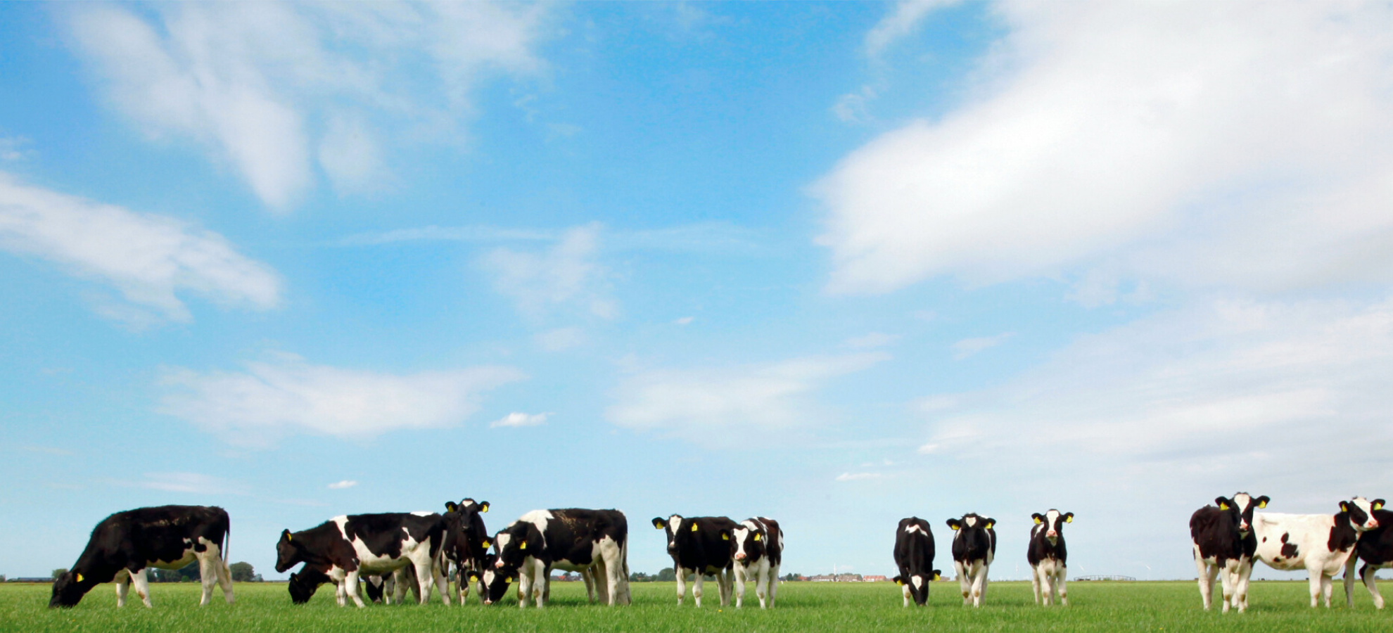 FrieslandCampina verduurzaamt met Blauwe Diesel 100